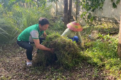 VỆ SINH CẢNH QUAN – CHÀO MỪNG NGÀY NHÀ GIÁO VIỆT NAM 20/11